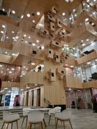 30 интересных кадров, которыми поделились в сети