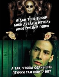 Фотоприколы и&nbsp;прикольные картинки