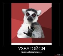 Мемные расследования: История появления "Превед Медведа!"