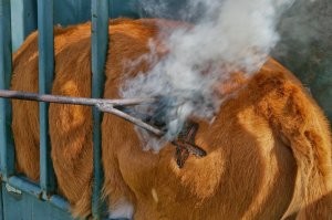 Все же уже придумано до нас