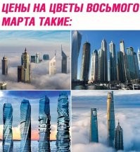 вообще пофигу, у жены аллергия на цветы))