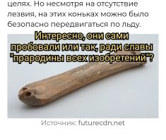 В Китае нашли древние коньки из костей животных