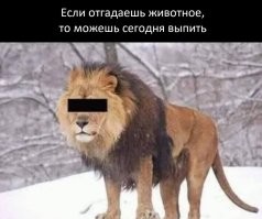 Алкопост на&nbsp;вечер этой пятницы