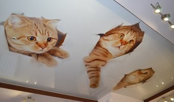 Дизайн так дизайн..всем дизайнам дизайн..