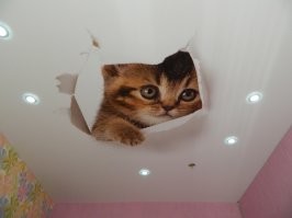 Из подручных средств: работы гуру ремонта и восстановления вещей