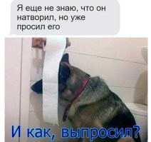 Фотоприколы и&nbsp;прикольные картинки