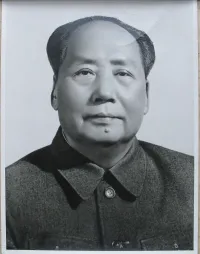 Жрец уж больно похож на старика Мао