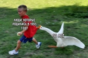 Фотоприколы и&nbsp;прикольные картинки