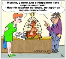 Фотоприколы и&nbsp;прикольные картинки