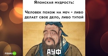 Надо взять на вооружение. Теперь некоторых буду сравнивать с мечом...))