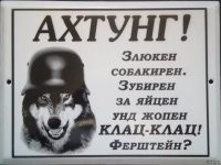 Хороший мальчик: полицейская собака быстро усмирила хулигана