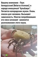 все намного хуже. вся наша нация укушена этим пауком. особенно президент ...