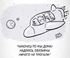 В НАСА бьют тревогу, к Земле летит аналог Тунгусского метеорита