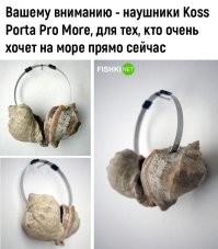 Мужик купил ракушку, слушает, потом удивленно у нее спрашивает - Это почему пошел на х.уй?