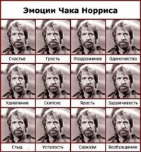 Непобедимый чемпион и самый крутой рейнджер Техаса: 15 фактов о Чаке Норрисе