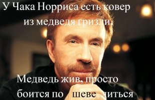 Непобедимый чемпион и самый крутой рейнджер Техаса: 15 фактов о Чаке Норрисе