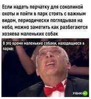 Хозяева мелких собак, в связи с маленьким IQ, даже не поймут что это и для чего перчатка