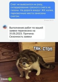 В большинстве случаев снег с газонов и не должны вывозить. Дорога вокруг ЖК, к ЖК может и не относится. Чистить её должен собственник. Как правило это город.Чистка 
парковочных мест на автовладельцах, если обратное не оговаривали. И как правило, не оговаривают, т.к. УК имеет право отправить машину на штрафстоянку, если она мешает уборке территории.