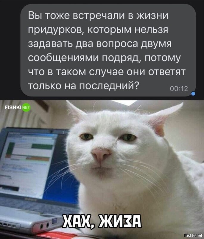 А вы встречали придурков, для которых вместить два вопроса в одно сообщение есть задача непосильная для их куцего мозга. Им больше одного предложения в одно сообщение вписывать надразум не позволяет