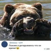 Э! Мужик! Ну ты куда?! Купаться пойдём.