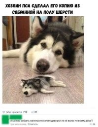 В Африке так и делают. Там много вудуистов