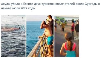 Про акул... их активность наоборот ближе к Хургаде. Про инциденты в Шарме не слышал. 
 Ёжики прячутся в кораллах, но иглы ска далеко торчат. Скатов в основной массе ловят и отрубают хвосты. Но бывает заплывают на пляж и хвостатые. Барракуды с муренами на пляже не живут, это аквалангистам бояться надо. Но и все остальные рыбы не на столько безобидные.  У них челюсти приспособлены грызть коралл, потому совать пальцы им в рот не рекомендуют. Даже просто остановившись в воде привлекаешь внимание местных  обитателей, некоторые туристы их кормят. Ты встаёшь толпа мелочи тебя окружает, радуешься, а те что по больше в досаде, что еды не дают могут за ногу цапнуть.