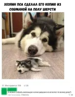 Мне кажется можно 4 точных копии сделать, еще и на запчасти останется. И это только за год.