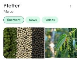 Перец, тот что "чёрный перец"
Красный сладкий перец молотый
Чёрный перец и свежие перцы