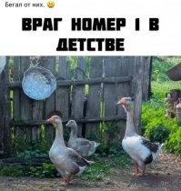 Враг номер 1 это крапива, а это страх номер 1.