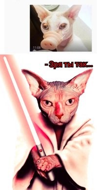 Лишь бы поторговаться: переписки на сайтах объявлений, в которых прекрасно всё