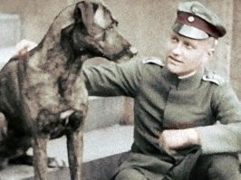 По правде говоря, ещё век назад доги не были такими огромными, хотя, конечно и тогда выглядели впечатляюще. Сразу вспомнилась знаменитая фотография очень известного человека и его не менее знаменитого дога. Узнали? Барон Манфред фон Рихтгофен, тот самый "Красный барон" и его дог Мориц.