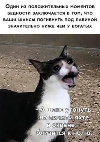 Фотоприколы и&nbsp;прикольные картинки