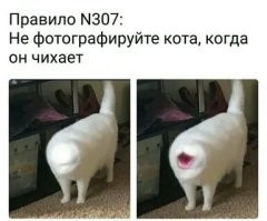Прикольные картинки с комментариями