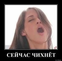 Прикольные картинки с комментариями