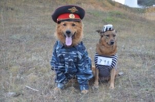Скрины из соцсетей&nbsp;