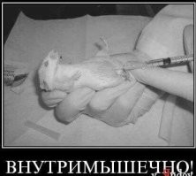 Фотоподборка