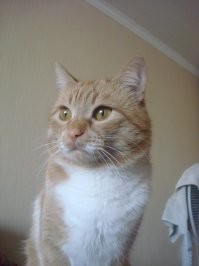 это мой... но уже увы...