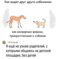 Фотоприколы и&nbsp;прикольные картинки