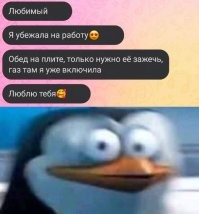 Фотоприколы и&nbsp;прикольные картинки
