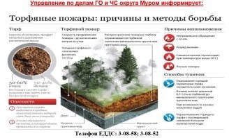 Потому что осушили болота и активно добывали торф. Потом перешли на газ и осушенные торфяные поля забросили вместо того что б опять затопить. Сухой торф - вещь очень опасная, ему для горения кислород не очень то нужен, поэтому будет гореть и под слоем земли и песка. Остановить горение можно только водой. Да и то не потому что вода перекрывает доступ кислорода, а потому что вода его активно охлаждает, а торф горит при достаточно высокой температуре - около 400-500 градусов.

Я участвовал в тушении торфяного пожара под Кингисеппом. Это жесть... Никогда не забуду. Лес - ёлки и сосны, огня нет, но из-под земли сочится дымок... Потом сосна или ёлка резко вспыхивает факелом и быстро сгорает.... потом ещё какая-нибудь в совершенно произвольном порядке. При этом ещё можно провалиться в яму с тлеющим торфом сверху покрытую тонким слоем дёрна... шансов на спасение нет - там в яме температура минимум 500 градусов.