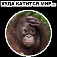 Гостя на кавказской свадьбе застрелили за танец с невестой