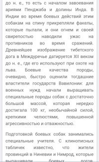 Так-то, и сами воины, на себе немало таскали. 
Легионеров, вообще, мулами за это называли. 
Это же не означает, что они транспорт. 

Ну вот, навскидку. Точно не транспорт.