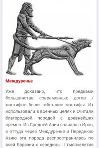 Так-то, и сами воины, на себе немало таскали. 
Легионеров, вообще, мулами за это называли. 
Это же не означает, что они транспорт. 

Ну вот, навскидку. Точно не транспорт.