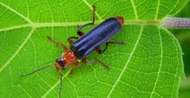 Интересные факты об инкассации, которые вы могли не знать!⁠⁠