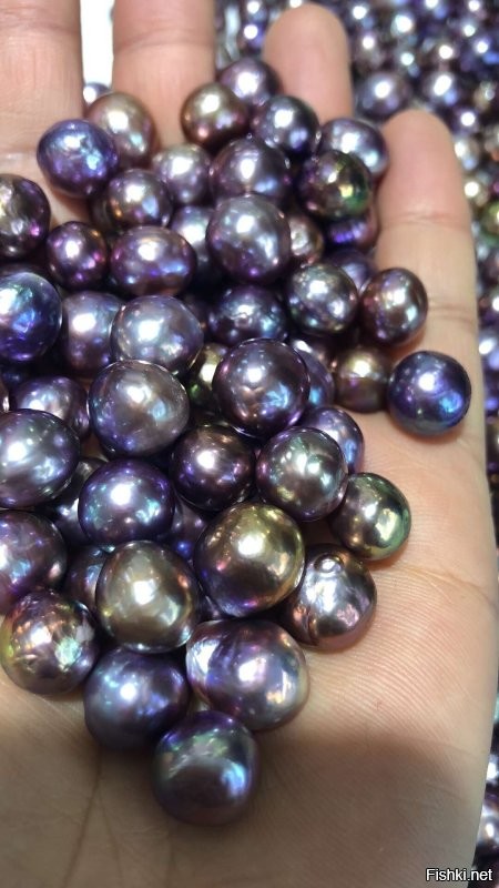 Опять автор словно пожалел сделать нормальный пост. Наверное просто мешал поискать хоть разные фото, палец, ковыряющий в носу. 
 Основной принцип зависимости цены на такие вещи, является уникальность, неповторимость. Второй важнейший фактор, как и вообще любого товара- спрос. А это как раз и зависит от первого.
 Жемчуг, как практически единственный драгоценный продукт от живого существа, сам по себе уникален. А уж то что есть огромное разнообразие форм, оттенков, полутонов, делает его широко применимым в самых разных украшениях, одежде и прочем. В современности научились добиваться нужных форм и оттенков и потому цена очень снизилась по сравнению с прежними временами. Сейчас как раз выходит на первый план особая уникальность по цвету, размеру, форме жемчуга. Вот несколько фото просто для наглядности. Не стала расписывать какой натуральный, искусственный, речной и морской. Просто посмотрите на красоту.