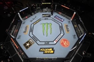Чмошники вислорылые! Загнать бы их в октагон UFC или ММА, что бы местные интелигенты с ними поработали...И так с каждым депутатом, в качестве профилактики....