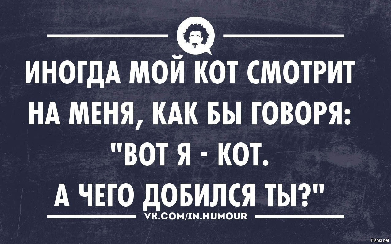 Да вот он говорит. Вот я кот а чего добился ты. Я кот а чего добился в жизни ты. Вот я кот а ты чего добился в этой жизни. Вот я кот а чего добился ты картинка.