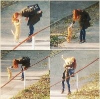 Как то так, котики и заводят себе людей..