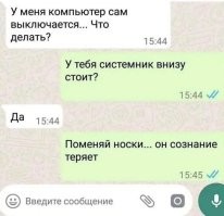 Неожиданная реакция собаки на запах из обуви