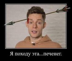 Исчезновение печенегов: куда и почему